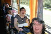 chdesp (2)
